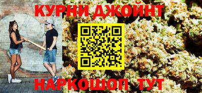 шишки Заволжье