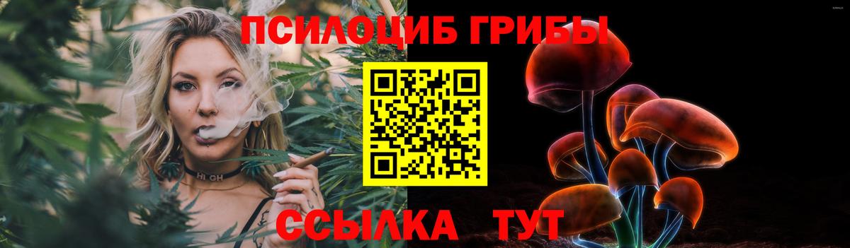 Псилоцибиновые грибы мицелий  Галлюциногенные грибы GOLDEN TEACHER  Вход с VPN  Железноводск 